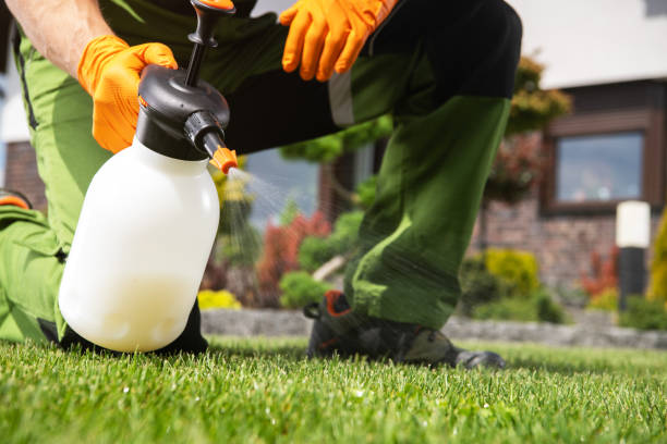  Edgerton, KS Pest Control Pros