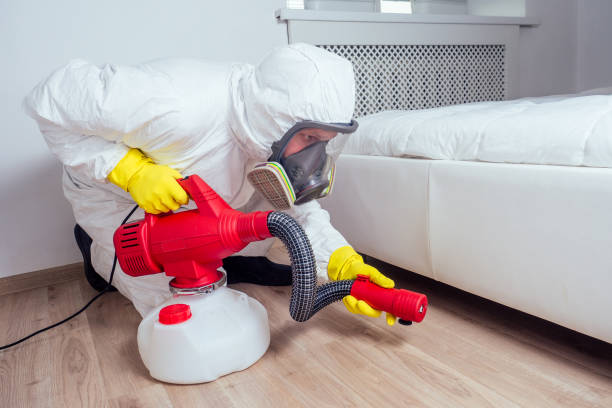 Best Local Pest Control Services  in Edgerton, KS