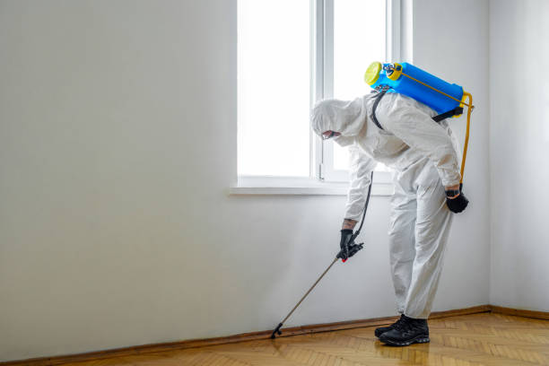 Best Pest Inspection Near Me  in Edgerton, KS