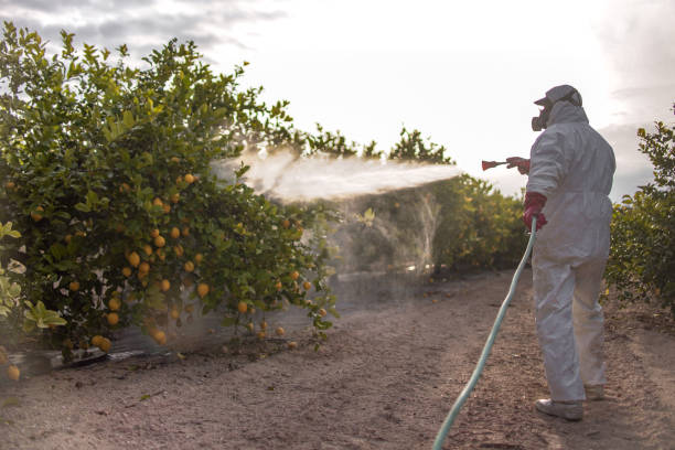 Best Commercial Pest Control Services  in Edgerton, KS