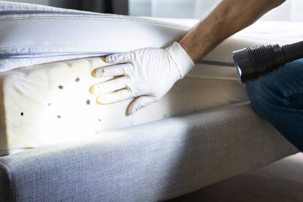 Best Pest Removal Services  in Edgerton, KS