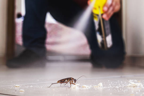 Edgerton, KS Pest Control Company
