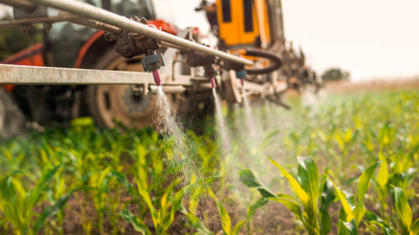 Best Pest Inspection Near Me  in Edgerton, KS