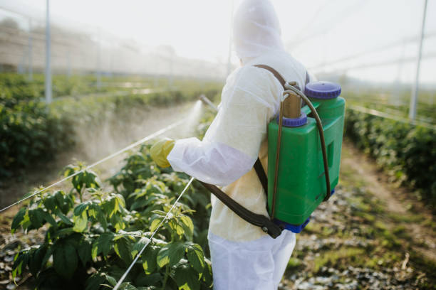 Best Best Pest Control Companies  in Edgerton, KS